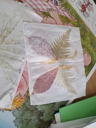 279771188 513052697131934 5424628002175285944 n