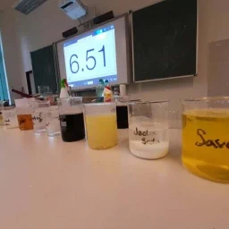 277852733 394346448867249 4412944993937091973 n