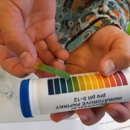 277902015 1103330163845858 4930878036558129876 n