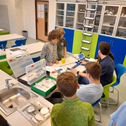 277981848 489571099512123 4958465507509412139 n