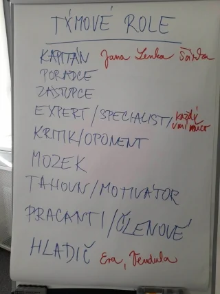 336735817 753135666196510 964544130493909688 n