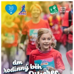 A3 LB posters dmFamily