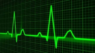 publicdomainpictures-pulse-trace-163708 1920